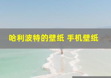 哈利波特的壁纸 手机壁纸